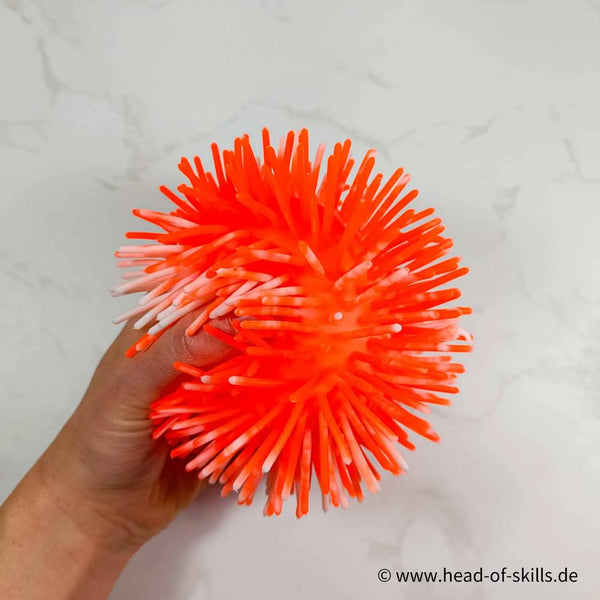 Pufferball Head of Skills