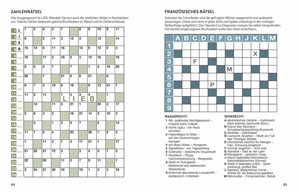 Mega-Rätsel Großdruck
