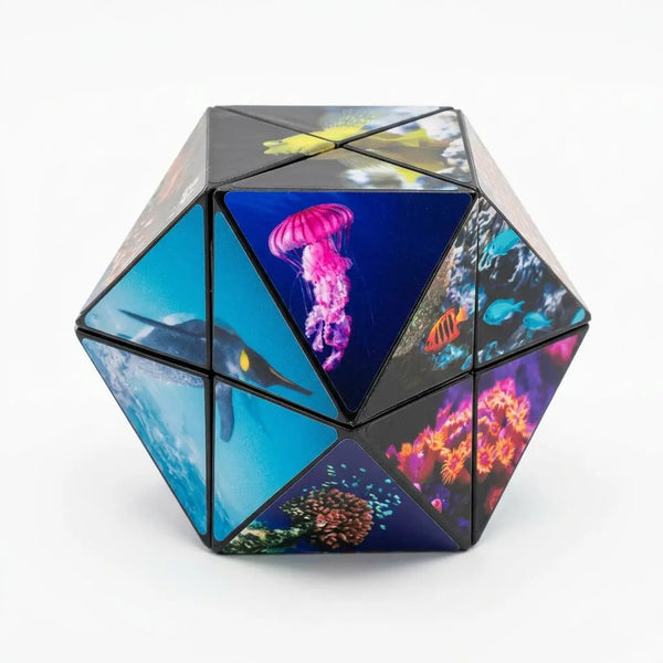 Magischer Würfel Sealife 