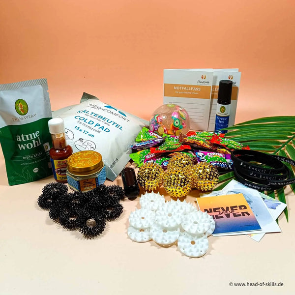 Skills Bundle Advanced 