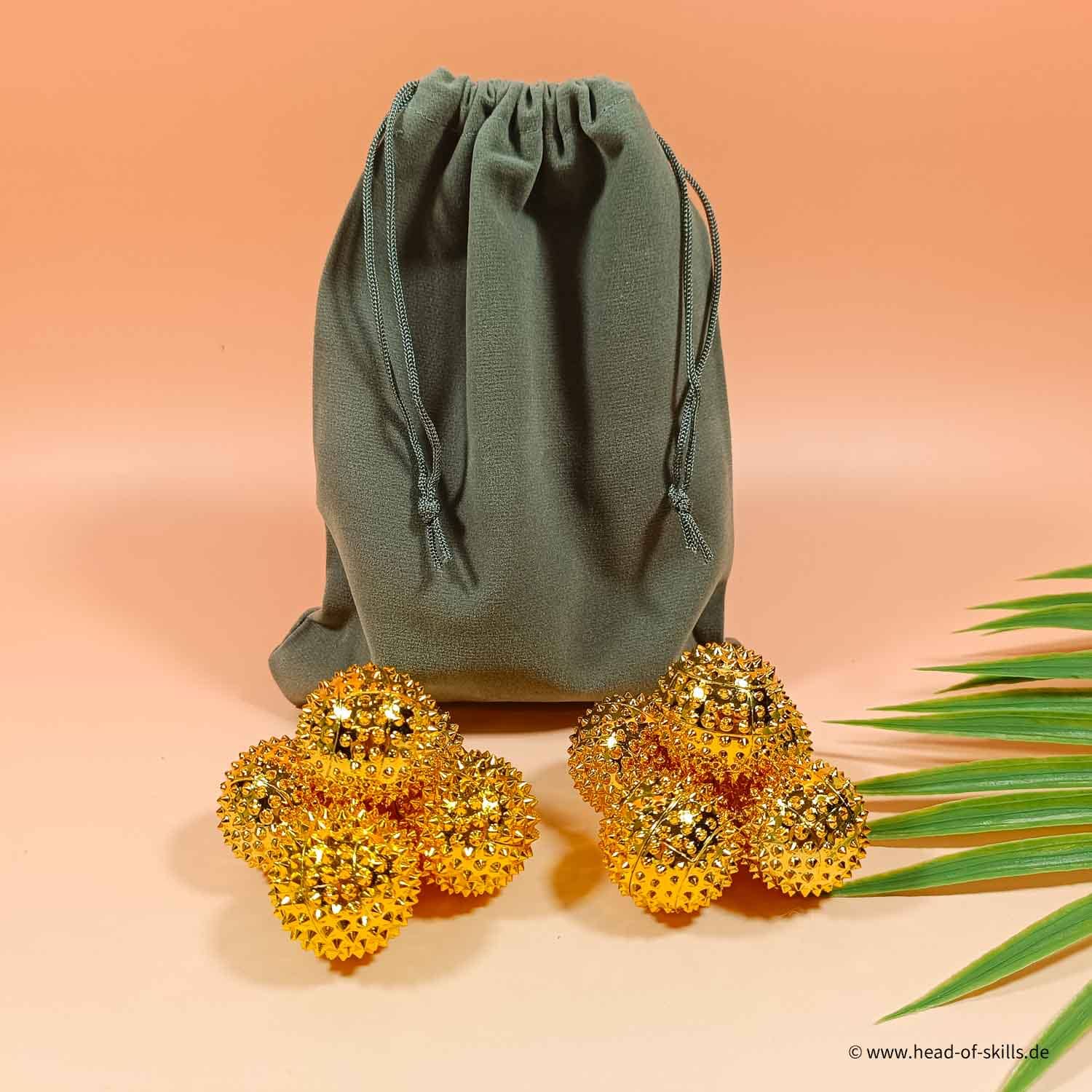 Hedgehog Ball Set S