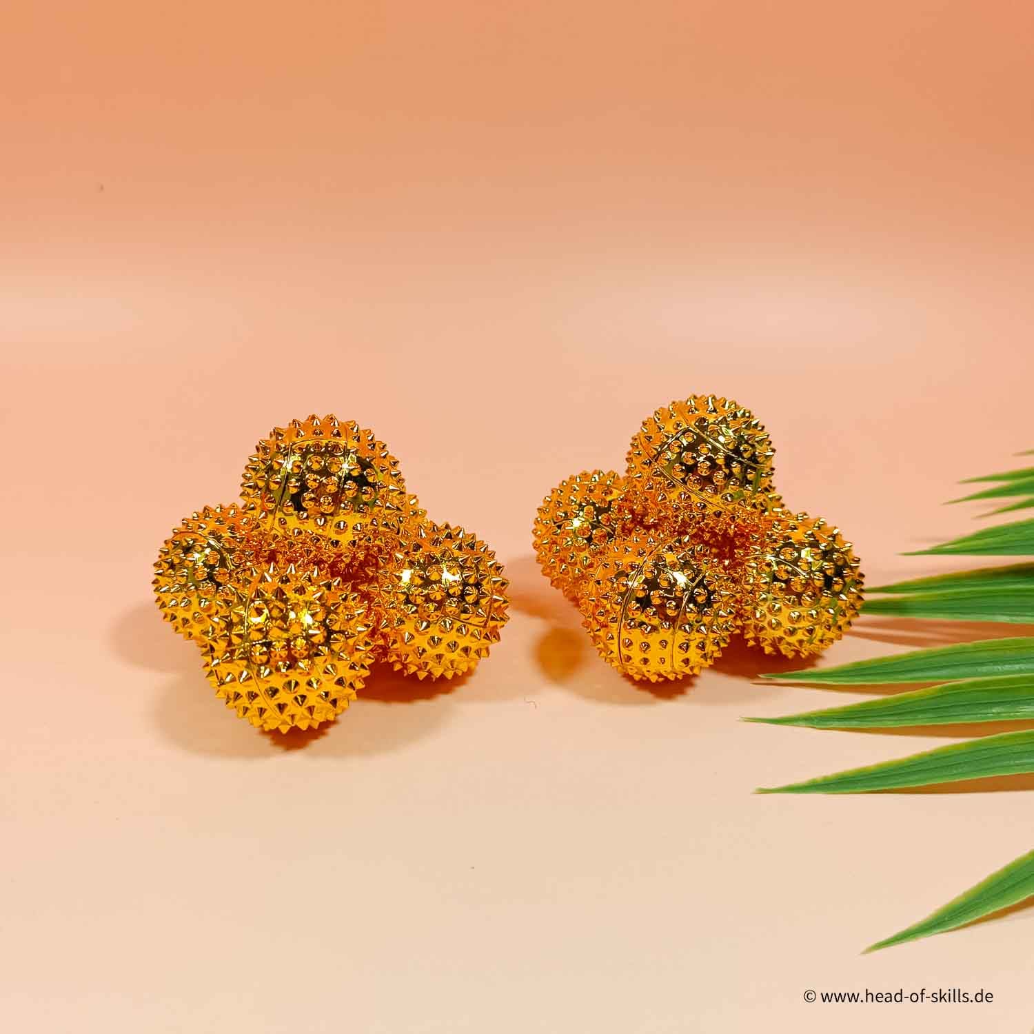 Hedgehog Ball Set S