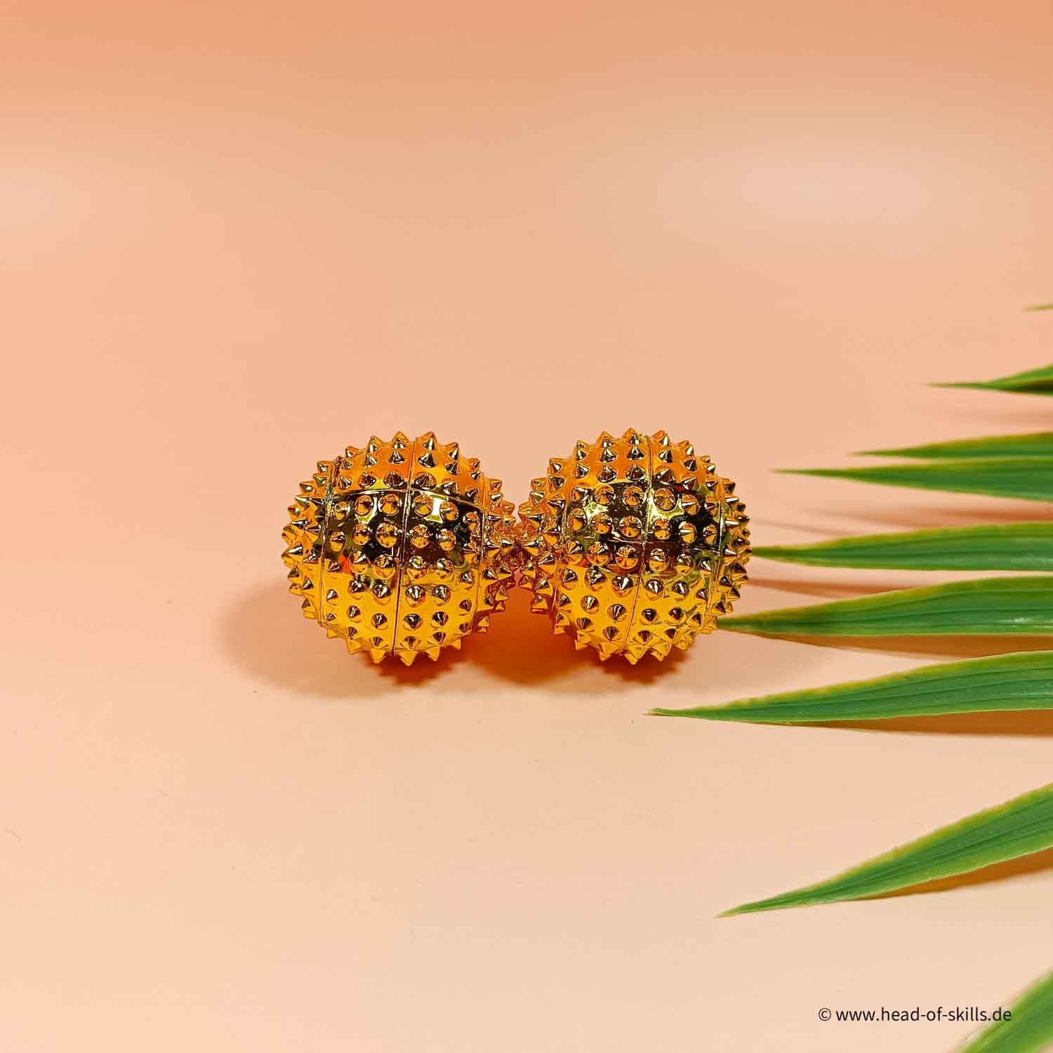 Hedgehog Ball Set S
