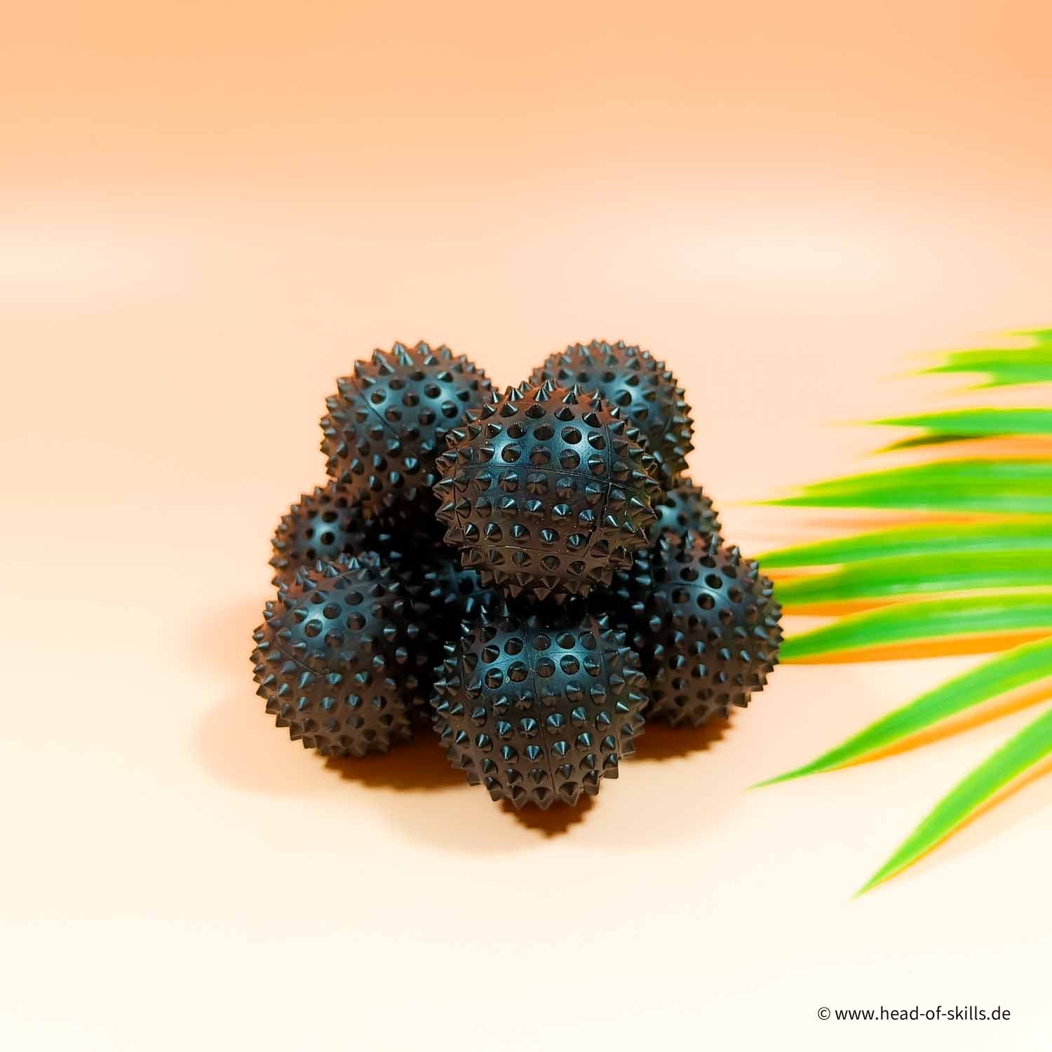 Hedgehog Ball Set S
