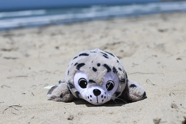 Entspannung | Shore Buddy Sammy die Robbe