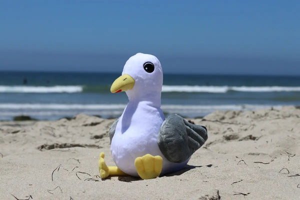 Entspannung | Shore Buddy Steffen die Möwe